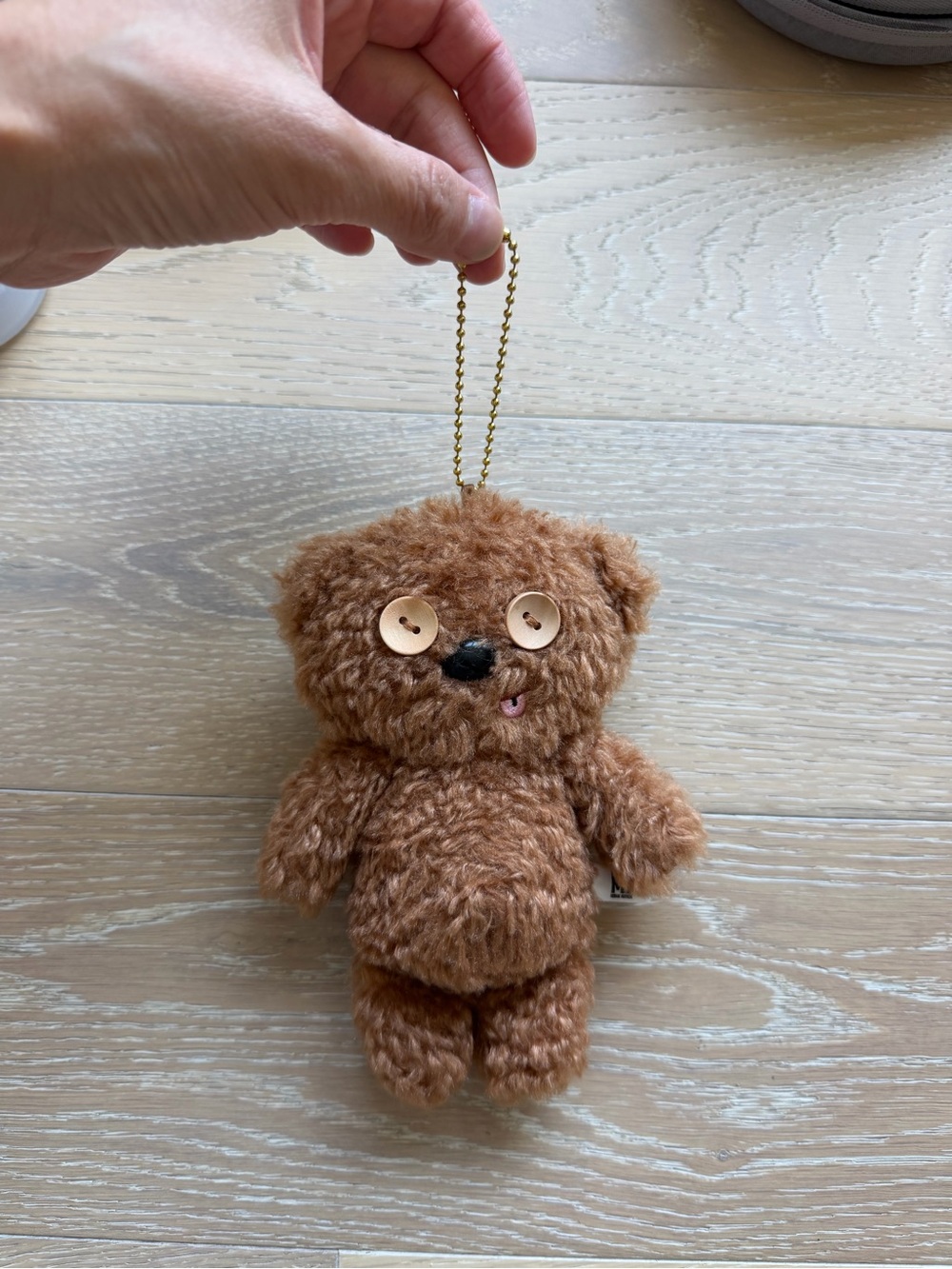 Authentic Universal Studios Japan "Tim the Bear" Plush!